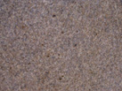 Ʒ-DAKOTA GRANITE